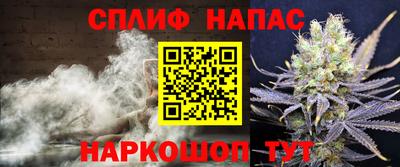 мдпв Гусев