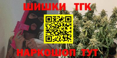 мдпв Гусев